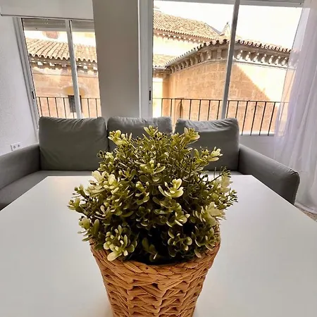 Sanmiguel Centro Apartment Cordoba